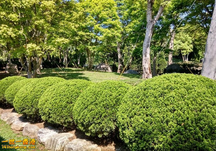 IMG_20150403_095701_HDR 750 ok good.jpg