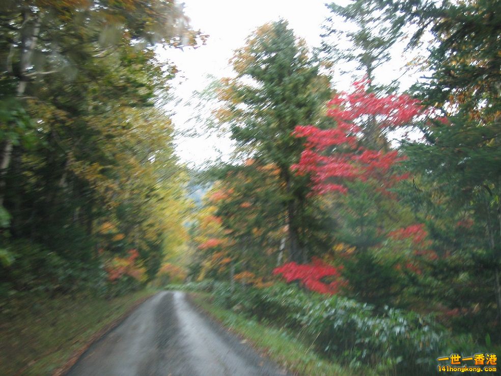 IMG_6716.JPG