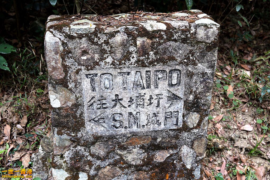 3P1A8821.JPG