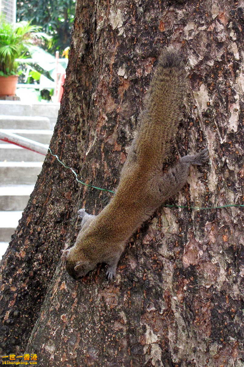 IMG_6283.1.jpg