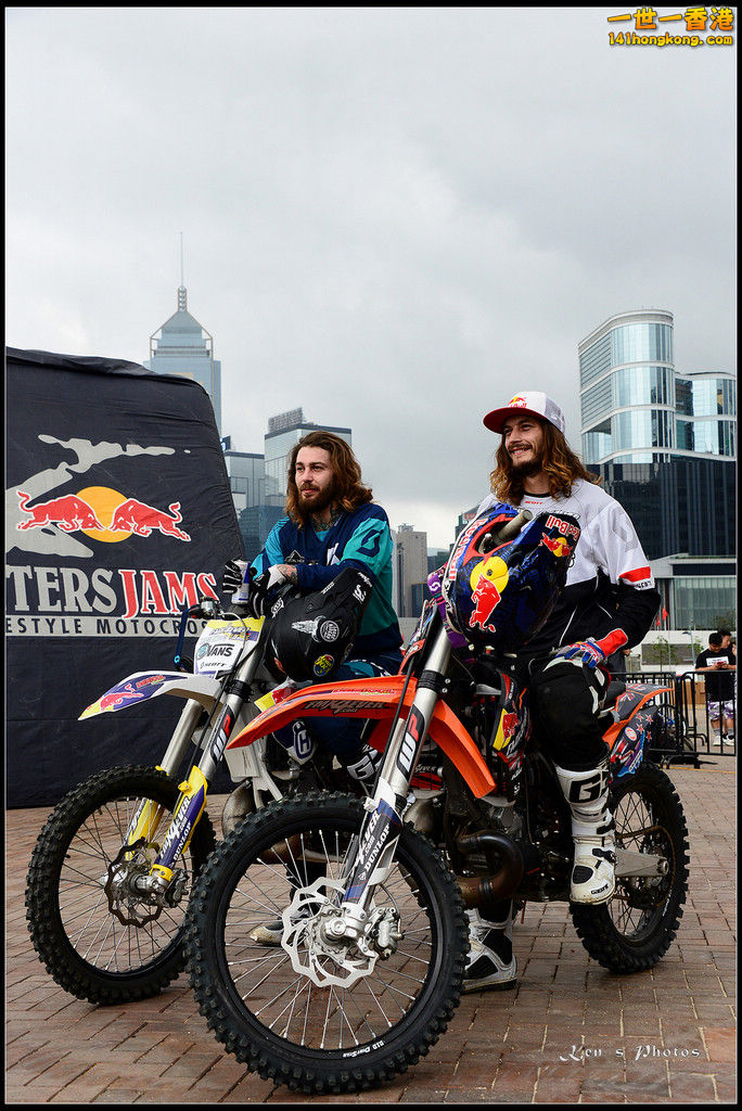 20150403Bull X 1085.jpg