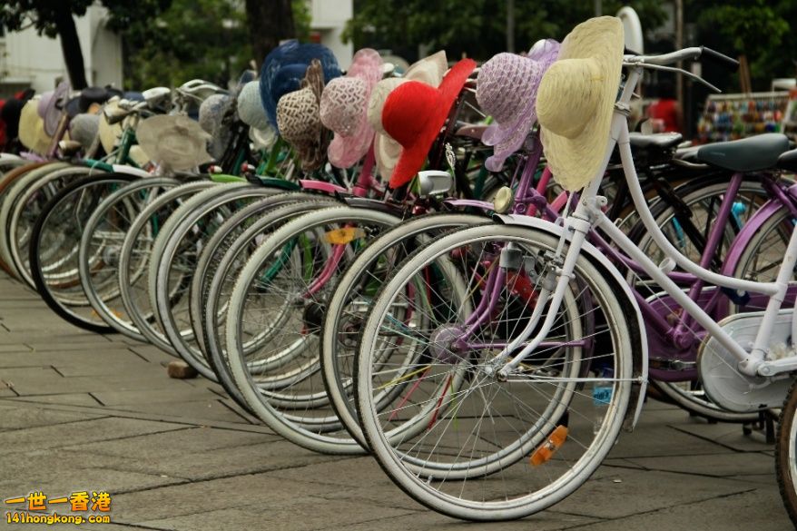 Rows-of-Bicycles-and-Hats.jpg