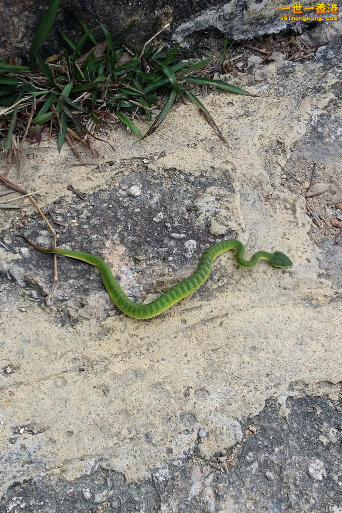 20150222_095855.jpg