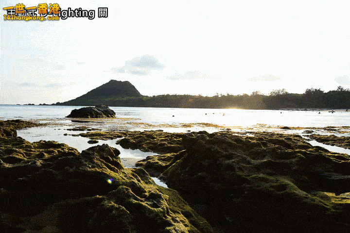 61.gif