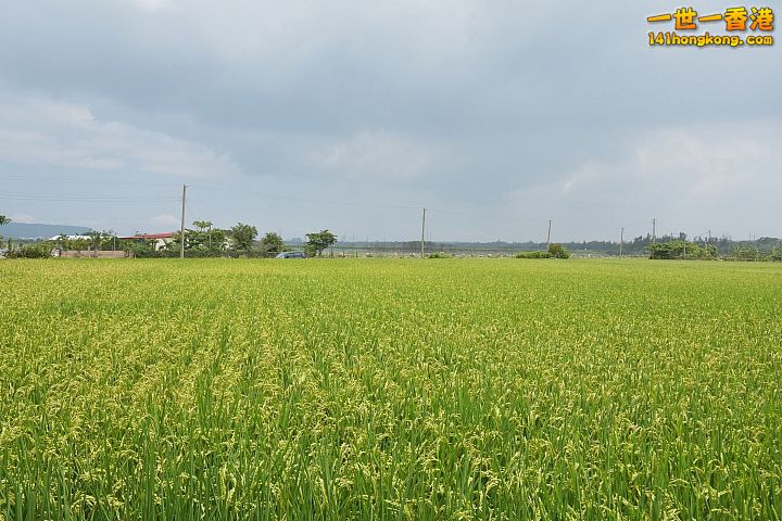 79.jpg