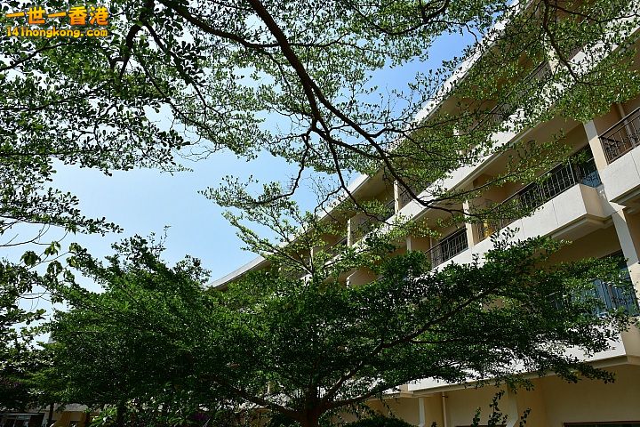 85.jpg