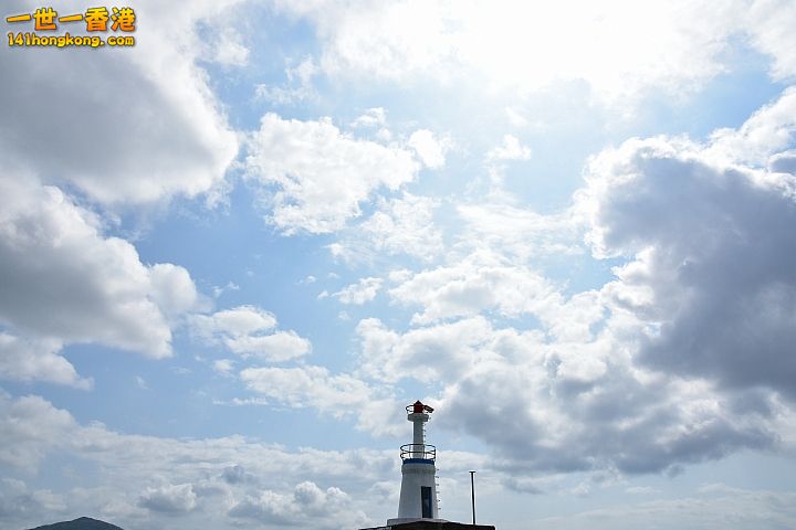 96.jpg