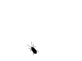 R]3_58ND(Q$X{1M)2YW_KUJ.gif