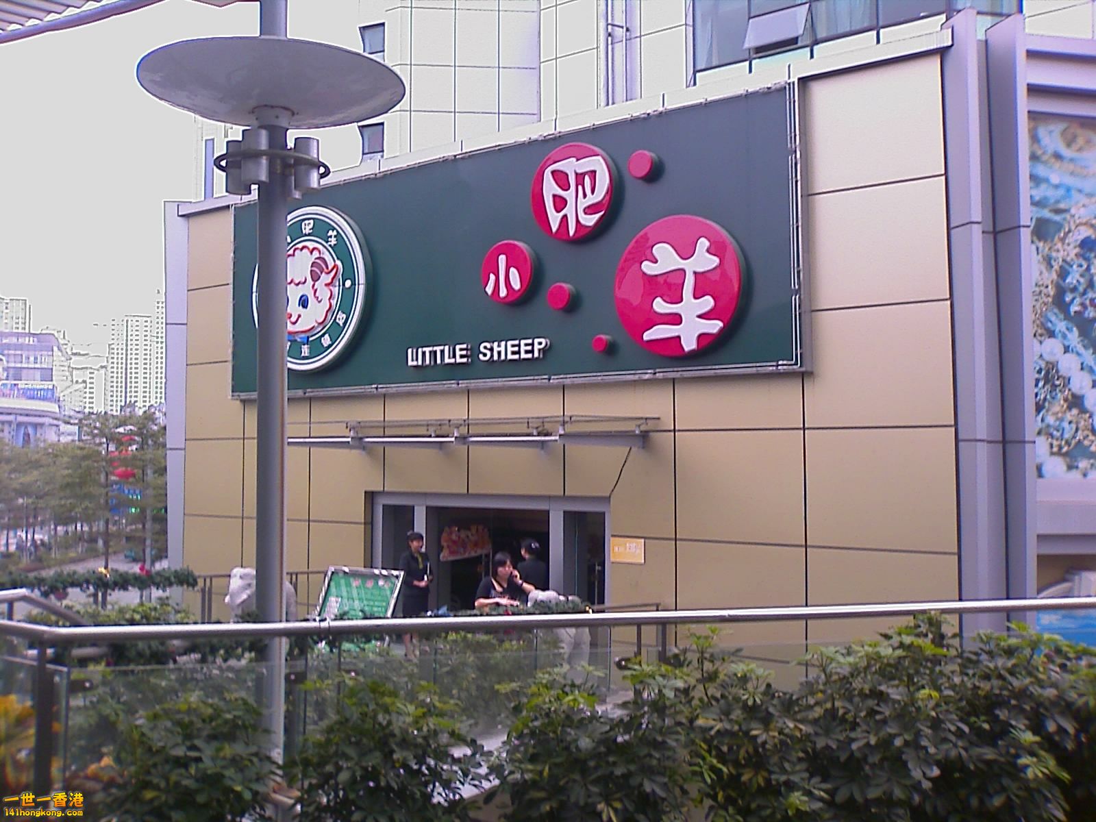 小肥羊.jpg