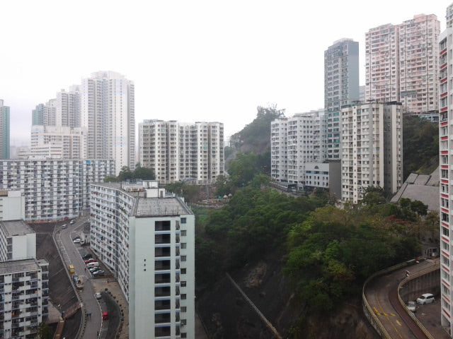 20130302_110742.jpg