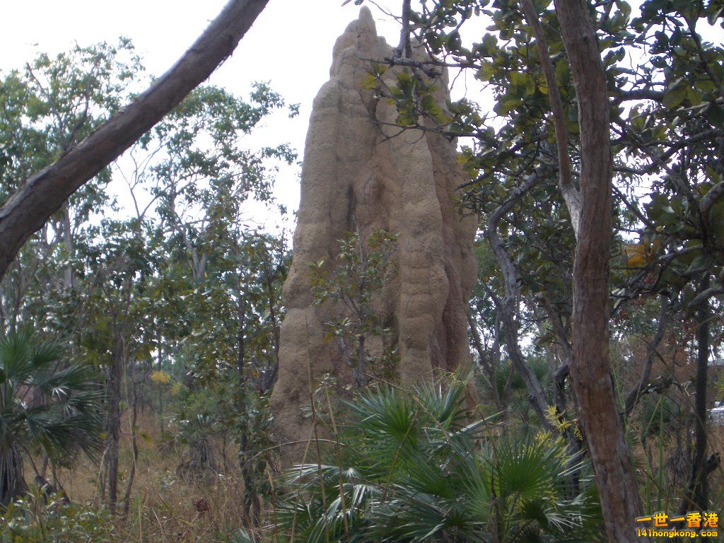050527 395.JPG