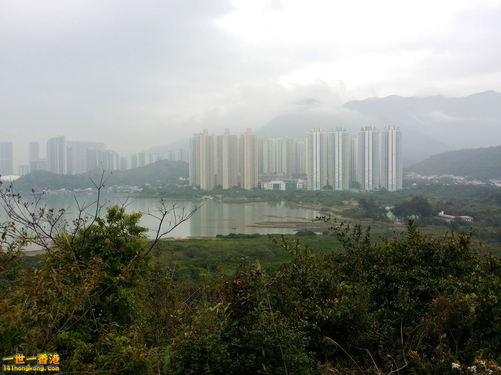 20150222_093706.jpg