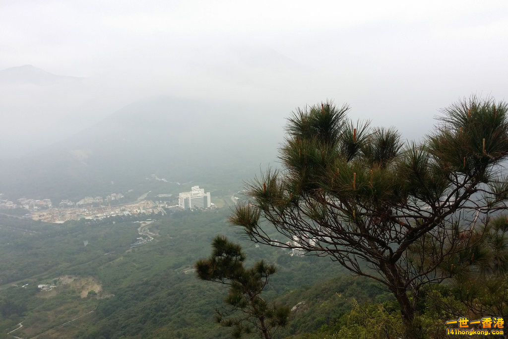 20150222_100440.jpg