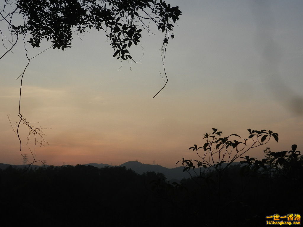 DSCN3670.JPG