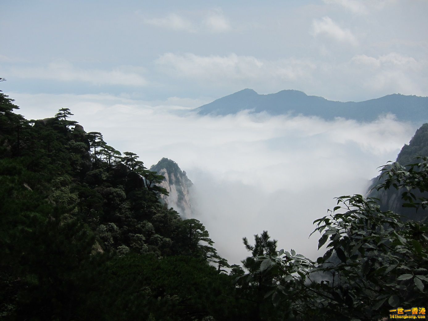 IMG_8332.JPG