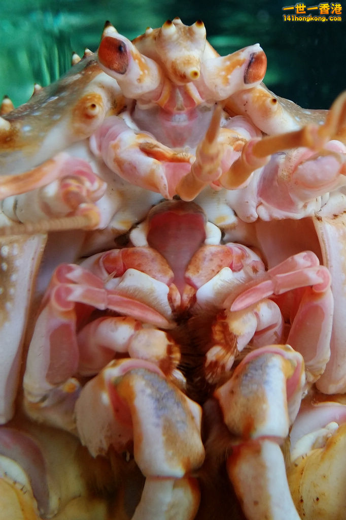 20150508_113003.jpg