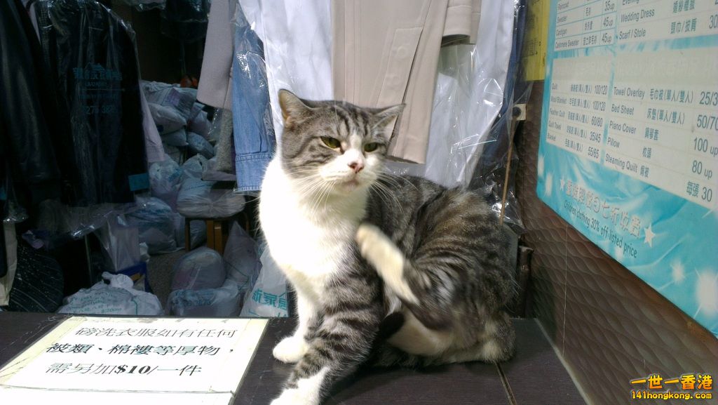 IMAG5234.jpg