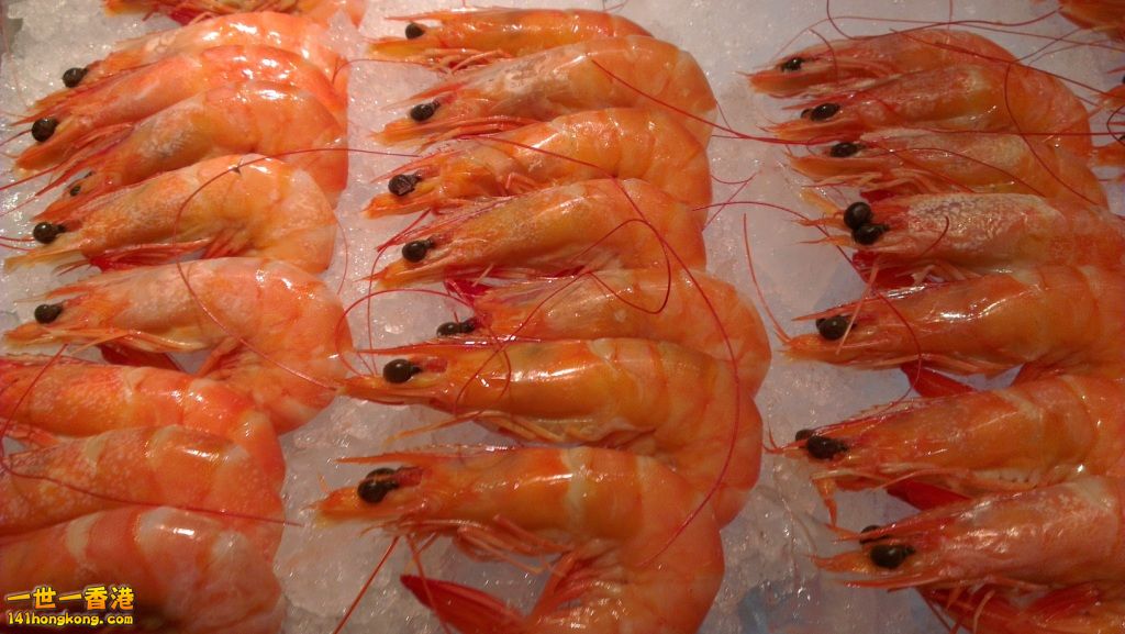 FoodPara-SEF-3.jpg