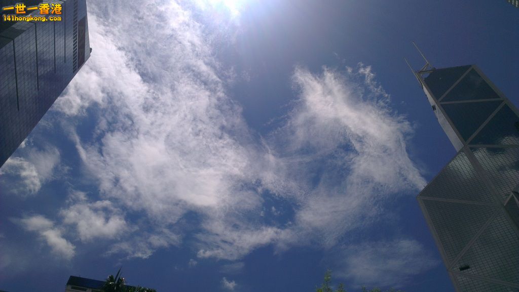 IMAG1042.jpg