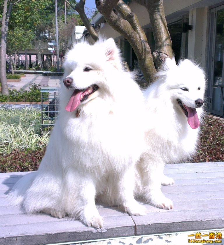 IMAG5792.jpg