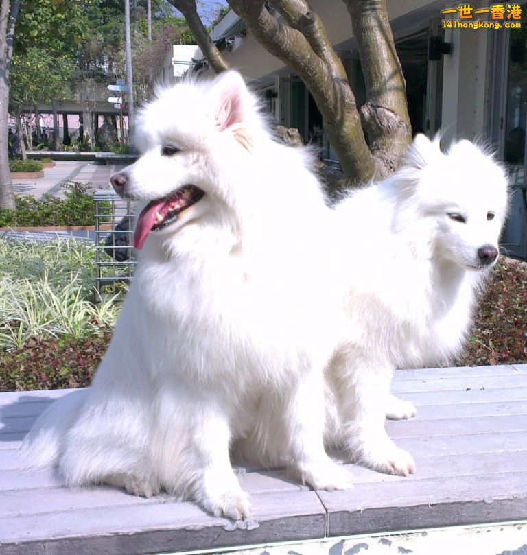 IMAG5793.jpg