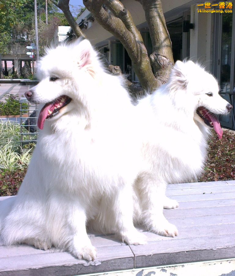IMAG5795.jpg