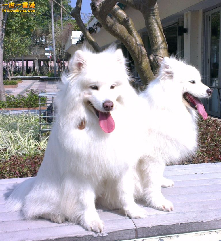 IMAG5796.jpg