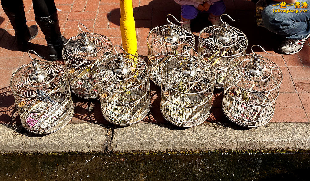 20131206_125330.jpg