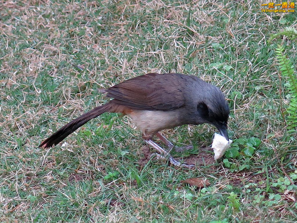 IMG_4297.JPG