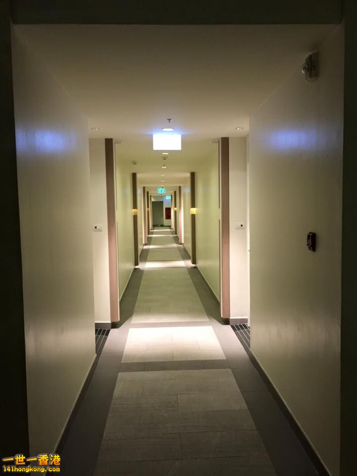 10417499_1092369337445369_8011346017038509326_n.jpg