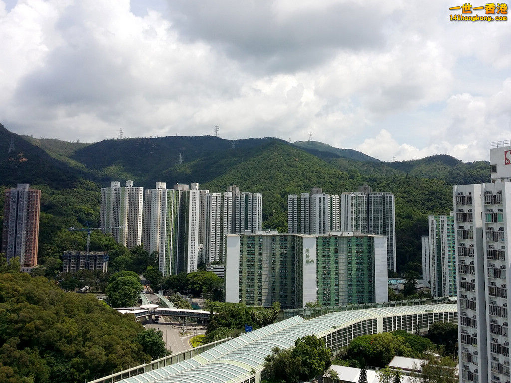 20150609_103223.jpg