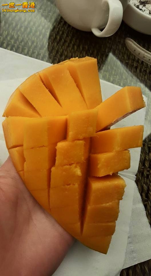 食亡果 (2).jpg