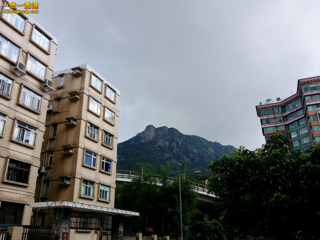 20150608_091649.jpg