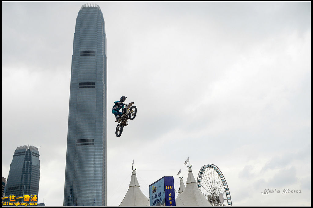 20150403Bull X 1103.jpg