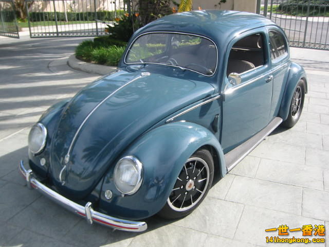 beetle20.jpg
