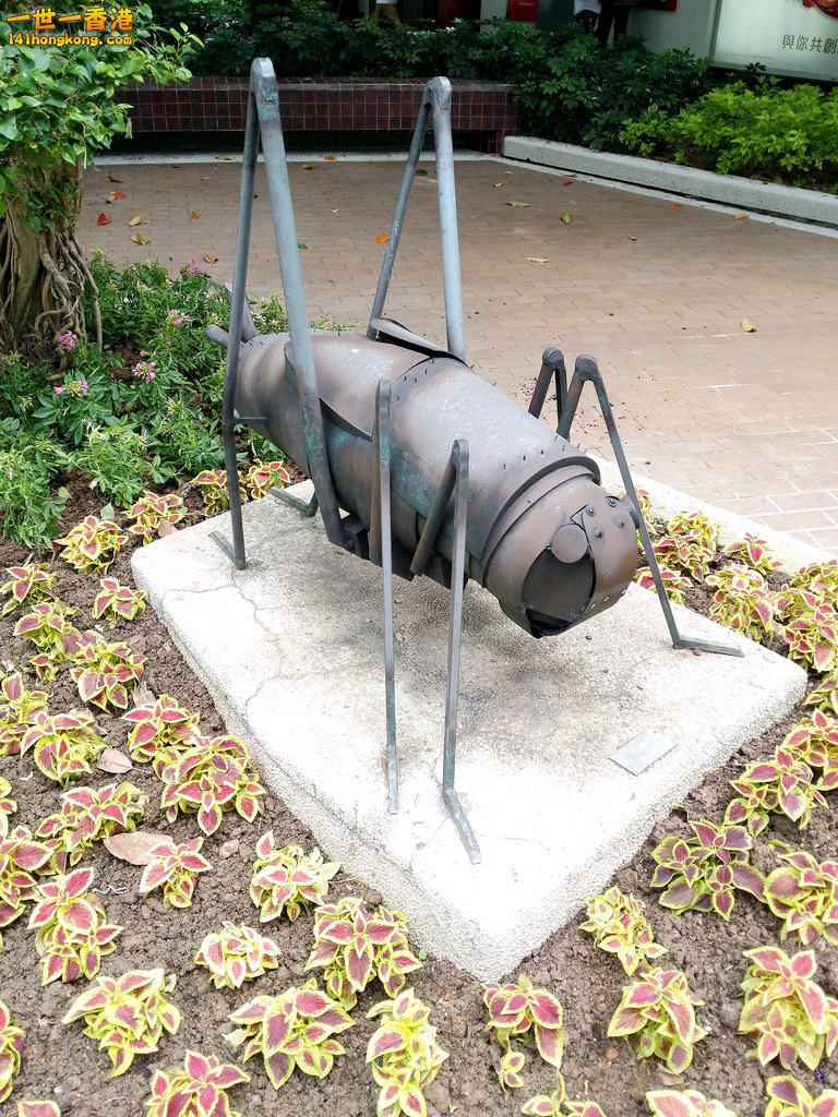 20150602_102725.jpg