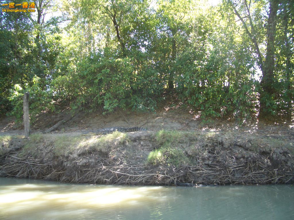 050527 355.JPG
