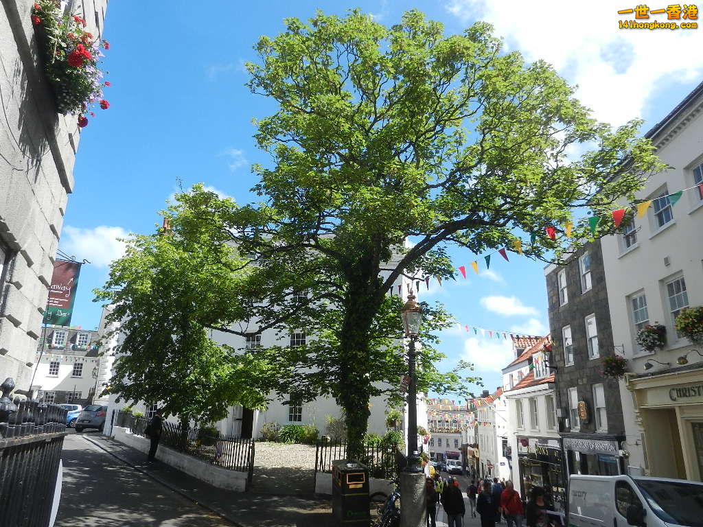 DSCN5658.JPG