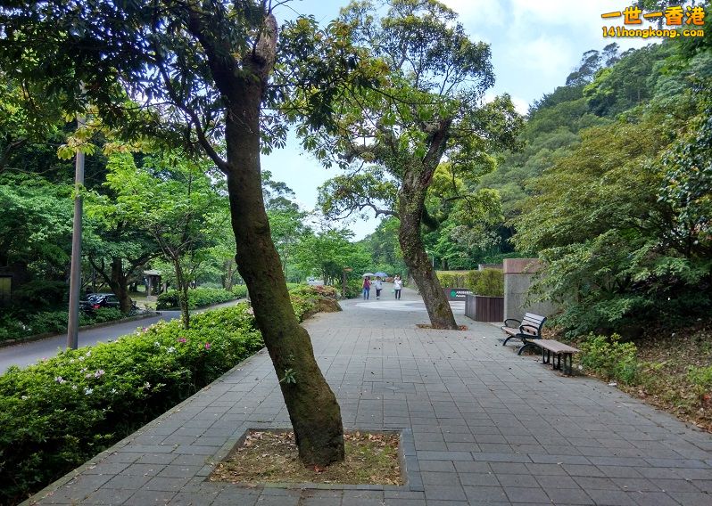 IMG_20150406_105538_HDR 800 0k good.jpg