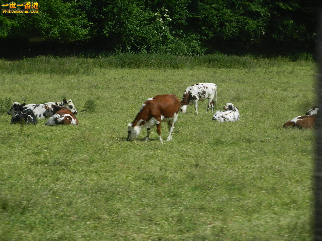 DSCN6873.JPG