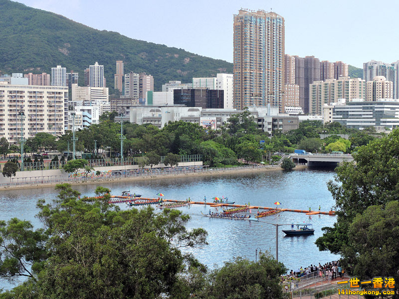 DSCN5071-lo.jpg