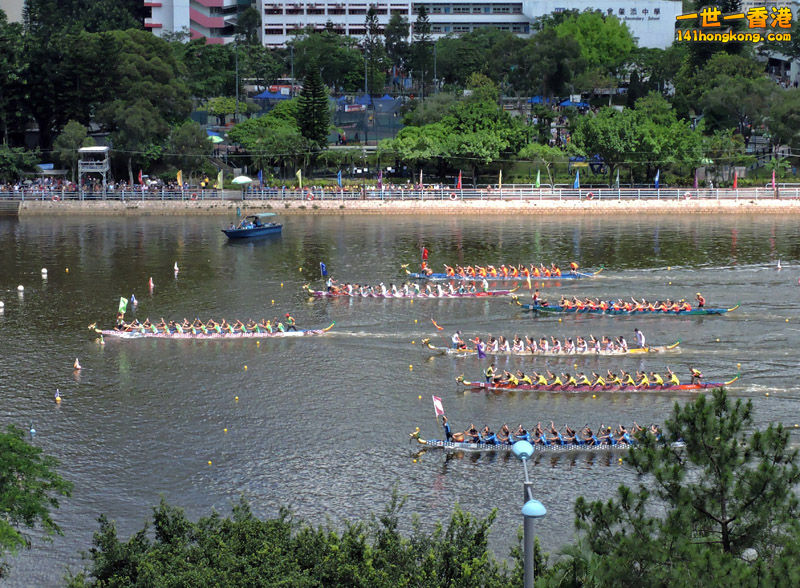 DSCN5085-lo.jpg