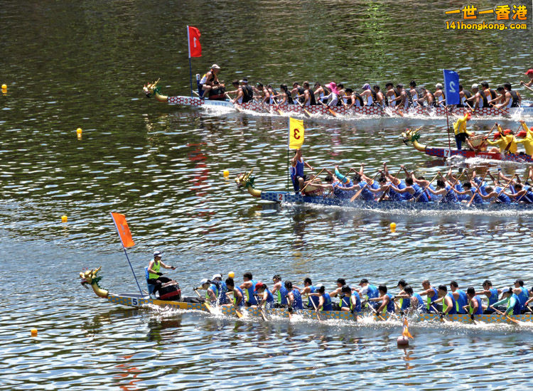 DSCN5113-lo.jpg
