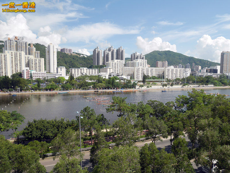 P1000238-lo.jpg