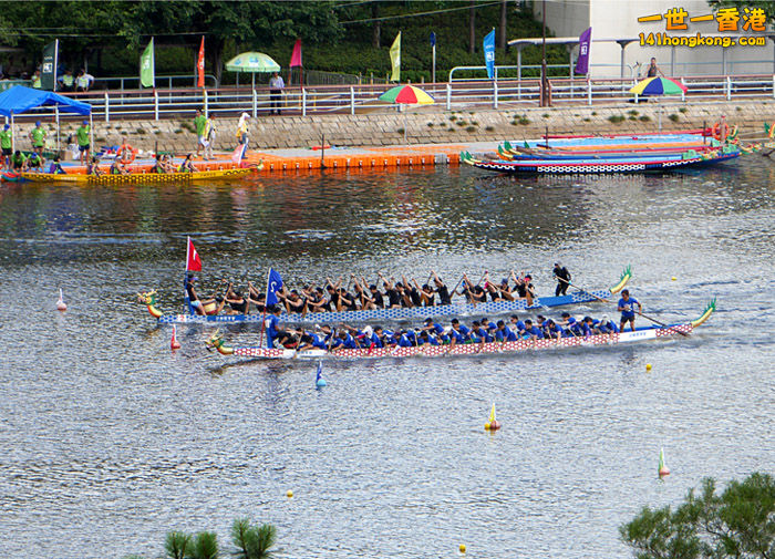 P1000247-lo.jpg