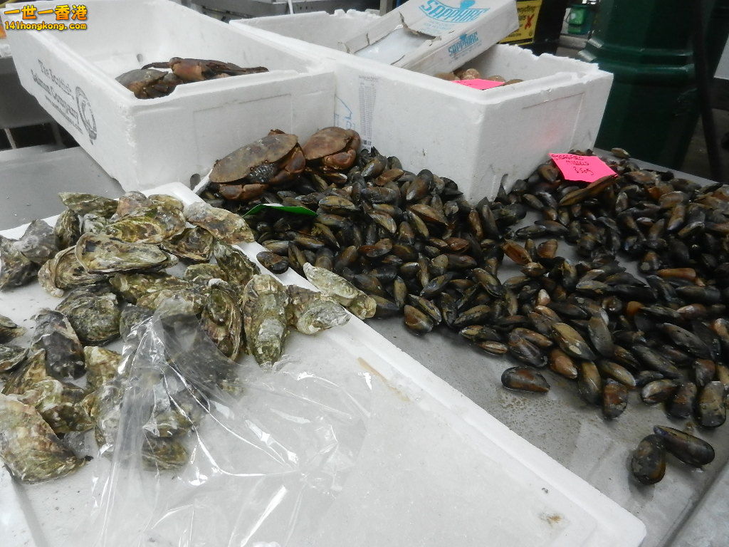 DSCN6231.JPG