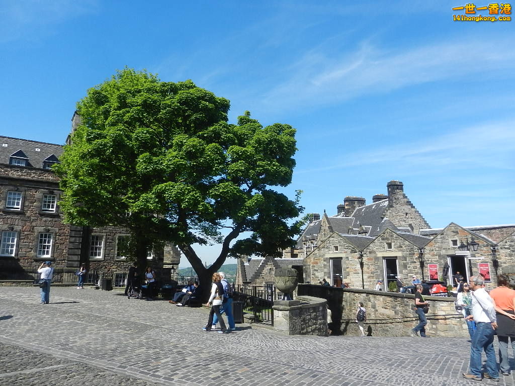DSCN6646.JPG