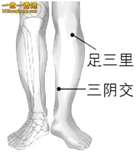 11、止肾绞痛.jpg