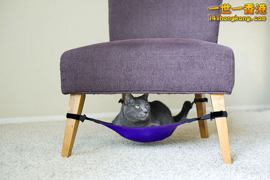 17. The Cat  Crib.jpg