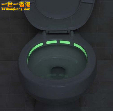 23. Glow In The Dark  Toilet Rim.jpg